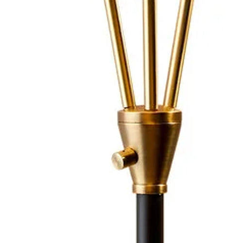 Black Metal Floor Lamp with Three Adjustable Antique Brass Accented