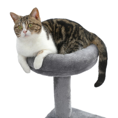 Domestic Delivery Multi-Level Cat Tree Tower Climb Furniture Scratching Post for Indoor House Pet Supplies Kitten Toy Cozy Condo