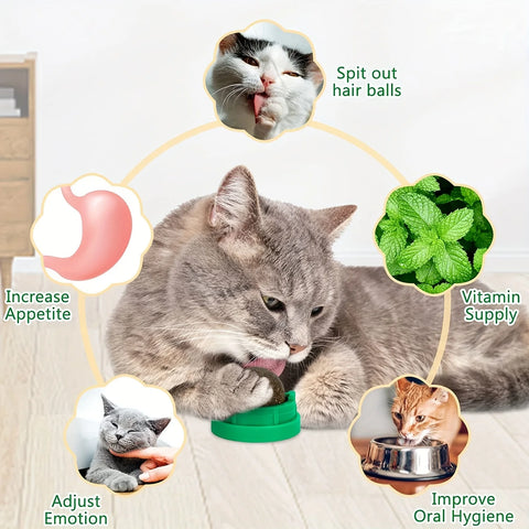 Catnip Wall Ball for Kitten, 4 Pack Catnip Toys, Silvervine Balls, Edible Toys