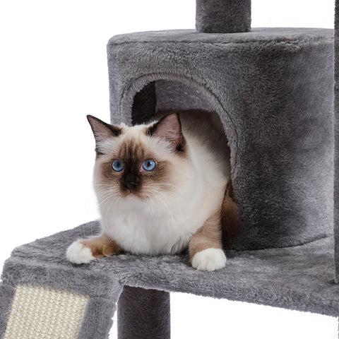 Domestic Delivery Multi-Level Cat Tree Tower Climb Furniture Scratching Post for Indoor House Pet Supplies Kitten Toy Cozy Condo