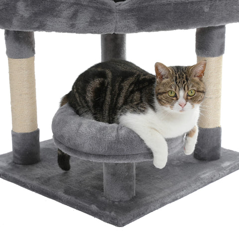 Domestic Delivery Multi-Level Cat Tree Tower Climb Furniture Scratching Post for Indoor House Pet Supplies Kitten Toy Cozy Condo