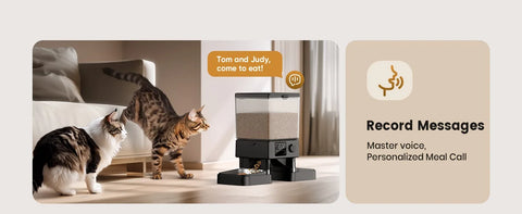 Automatic Cat Feeder for 2 Cats, 20 Cups/5L Automatic Cat Food Dispenser for Small Pets Indoor, Timed Cat Feeder for Dry Food