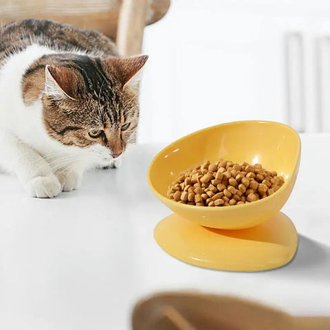 Cat Bowl Anti Vomiting Elevated Cat Bowls For Food And Water Tilted Elevated Cat Bowl Elevated Pet Feeder Bowl Stress Free