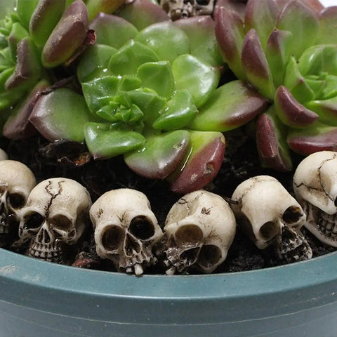 20 Pcs Resin Mini Skulls Heads Halloween Garden Decorations Skeleton Fake Human Ornament Trick Toy Skeleton Ornament