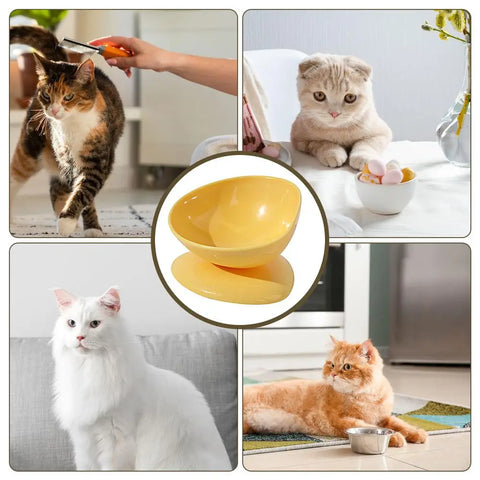 Cat Bowl Anti Vomiting Elevated Cat Bowls For Food And Water Tilted Elevated Cat Bowl Elevated Pet Feeder Bowl Stress Free