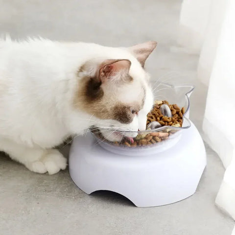 15 Degree Tilt Cat Bowl Anti Suffocate Cat Slow Feeder Plastic Transparent Cat Food Bowl with Raised Stand Kitten Pet Feeding