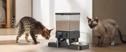 Automatic Cat Feeder for 2 Cats, 20 Cups/5L Automatic Cat Food Dispenser for Small Pets Indoor, Timed Cat Feeder for Dry Food