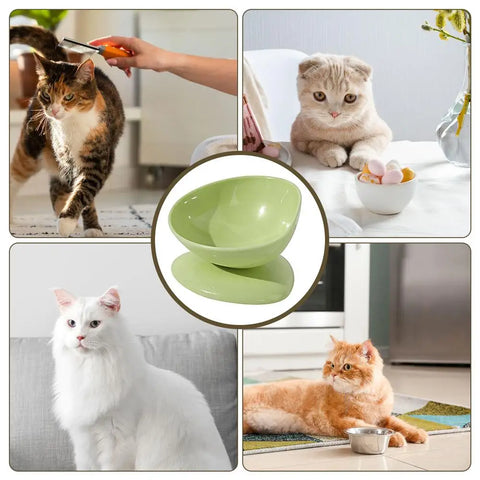 Cat Bowl Anti Vomiting Elevated Cat Bowls For Food And Water Tilted Elevated Cat Bowl Elevated Pet Feeder Bowl Stress Free