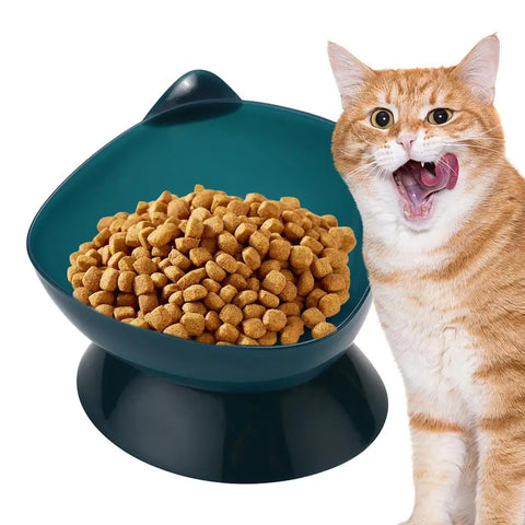 Cat Food Bowls Anti Vomiting Raised Cat Bowls Ergonomic Cat Bowl Elevated Kitten Dish With Fine Sanded Edges