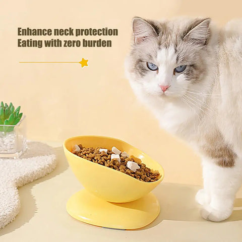 Cat Bowl Anti Vomiting Elevated Cat Bowls For Food And Water Tilted Elevated Cat Bowl Elevated Pet Feeder Bowl Stress Free