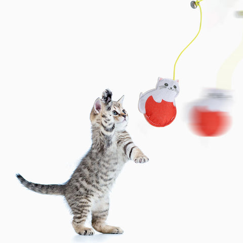 Doorway Cat Toys Batting Practice Cat Toy Jump Exercise Interactive Toy Door Rope Toy Funny Cat Teaser Stick With Catnip Felt