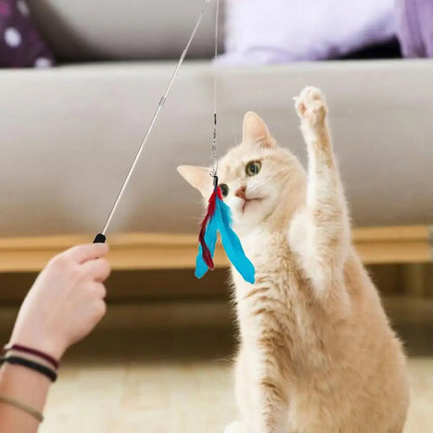 Cat Feather Teaser Wand Toys Fish Teaser Cat Toy Caterpillar & Feather Heads Cat Catcher Teaser Stick Fishing Pole Toy For