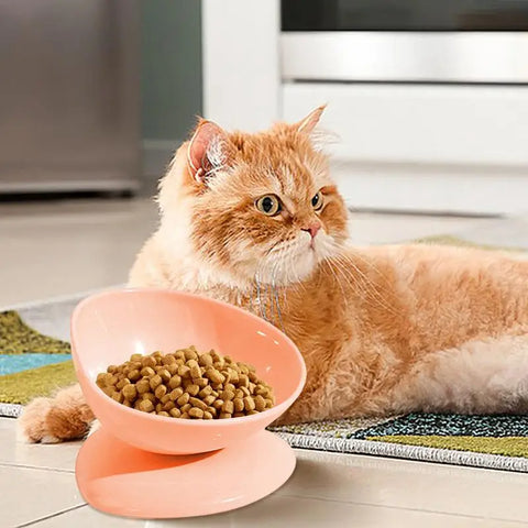 Cat Bowl Anti Vomiting Elevated Cat Bowls For Food And Water Tilted Elevated Cat Bowl Elevated Pet Feeder Bowl Stress Free