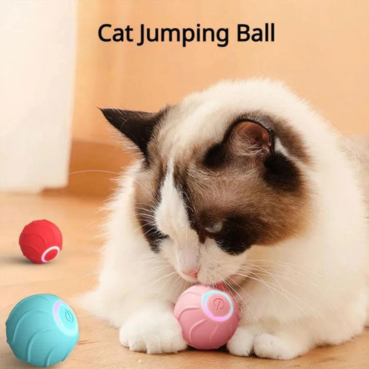 Quiet and Interactive Smart Powerball 2.0 Cat Toy for Indoor Cats - Fast Rolling on Carpet, Attracting Attention, Provides Quiet