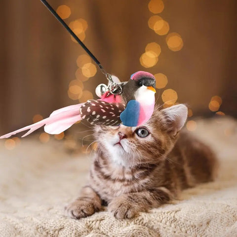 Replacement Head For Funny Cat Stick Toy Various Kinds Cats Rod Feather Birds Teaser Toy For Kitten Pets Toy Supplies