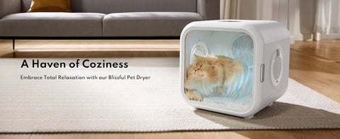 Automatic Pet Dryer Box - Ultra Quiet, Smart Temperature Control, 360° Efficient for Cats and Small Dogs