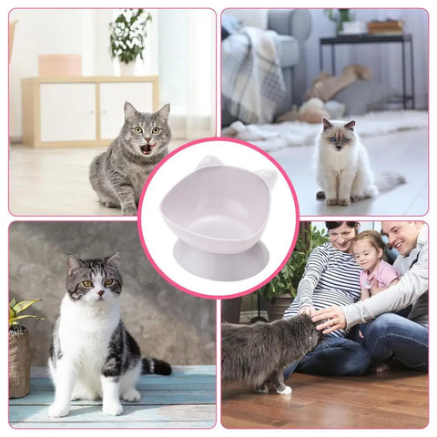 Cat Food Bowls Anti Vomiting Raised Cat Bowls Ergonomic Cat Bowl Elevated Kitten Dish With Fine Sanded Edges