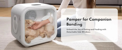 Automatic Pet Dryer Box - Ultra Quiet, Smart Temperature Control, 360° Efficient for Cats and Small Dogs