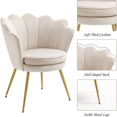 Living Room Chair Set of 2 with Golden Metal Legs, Shell-Shaped Armchair, Modern Accent Velvet Living Room Chair