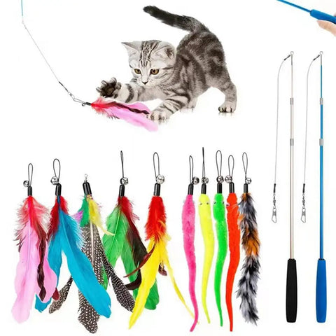 Cat Feather Teaser Wand Toys Fish Teaser Cat Toy Caterpillar & Feather Heads Cat Catcher Teaser Stick Fishing Pole Toy For