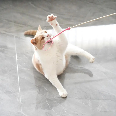 Cat Wand Toy Silicone Cat Toy Teaser Silicone Silicone Cat Stick Mice Tail Cat Toy For Medium Cats Pets Small