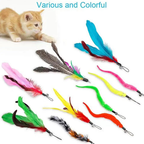 Cat Feather Teaser Wand Toys Fish Teaser Cat Toy Caterpillar & Feather Heads Cat Catcher Teaser Stick Fishing Pole Toy For