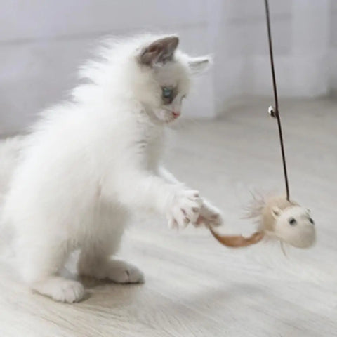 1pc Funny Cat Stick Teaser Featheren Toy Kitten Colorful Rod Cat Wand Toys Wood Pet Cat Interactive Stick Pet Cat Supplies