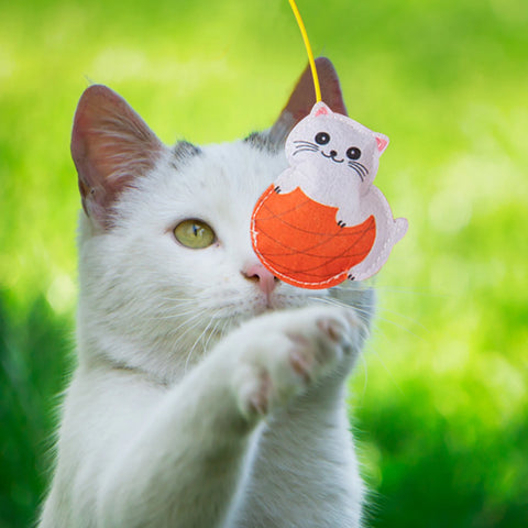 Doorway Cat Toys Batting Practice Cat Toy Jump Exercise Interactive Toy Door Rope Toy Funny Cat Teaser Stick With Catnip Felt