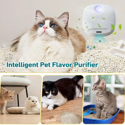 Intelligent Air Purifier Rechargeable Pet Deodorizer Odor Eliminator Electric Air Purifier With Deodorization Soft Indicator