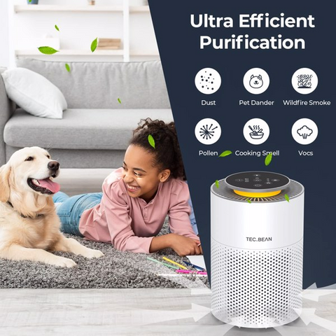 Air Purifiers for Home with Adjustable Night Light